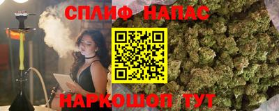 МДПВ Можга