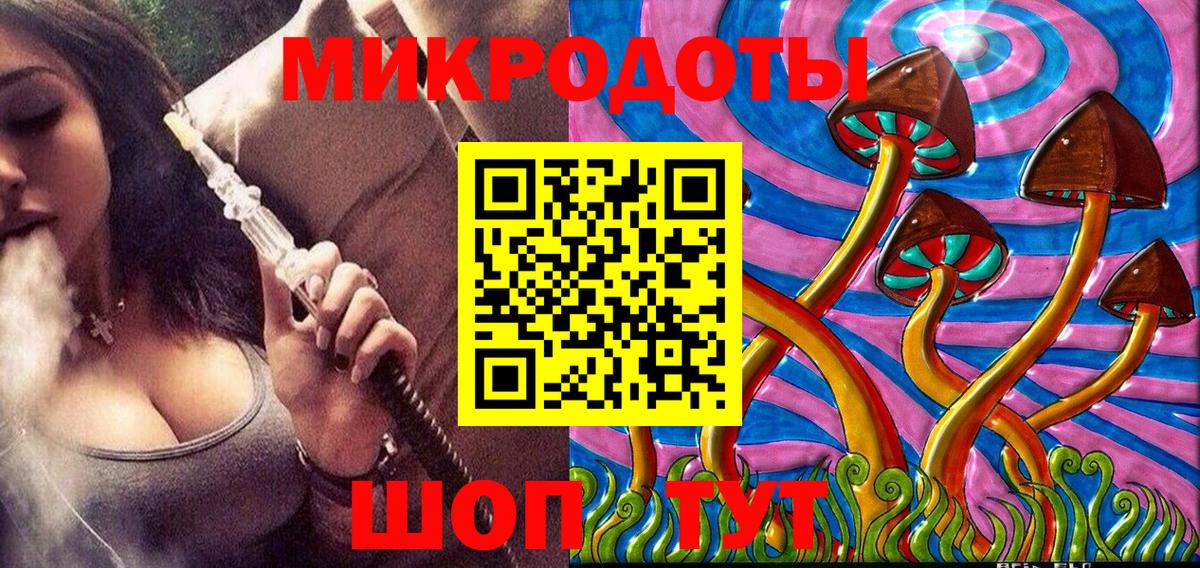 Псилоцибиновые грибы прущие грибы  где купить   Ставрополь  Вход с VPN 